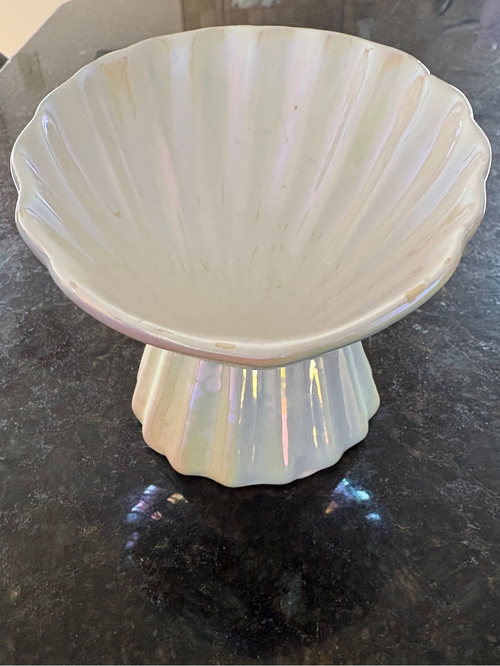 🤍 Rocky bear pet 🤍Shell Shaped Decorative Dish for cat food 🤍 - Picture 2 of 4